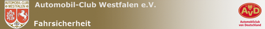 Fahrsicherheit